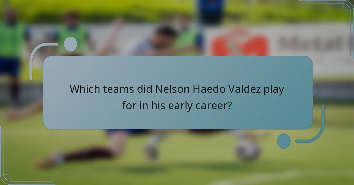 Which teams did Nelson Haedo Valdez play for in his early career?